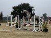 Springpferd Hildegard von Hickstead SZ (unbekannt,  )