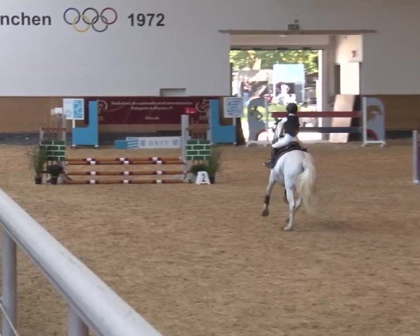 Reitturnier München-Riem/Obb. 2024