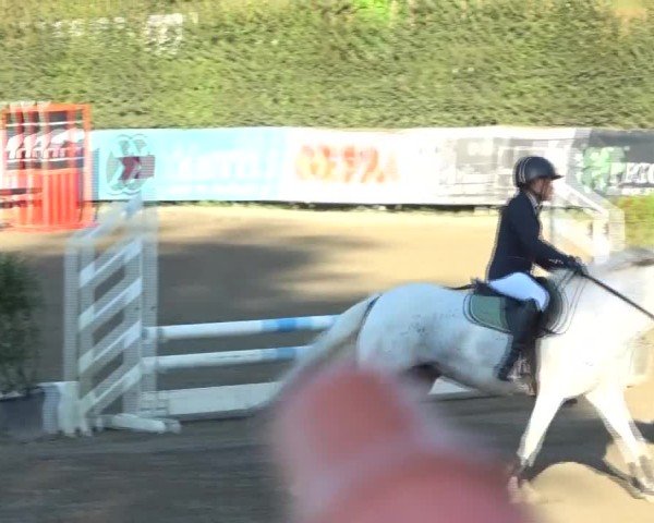 Reitturnier Tillmitsch 2024