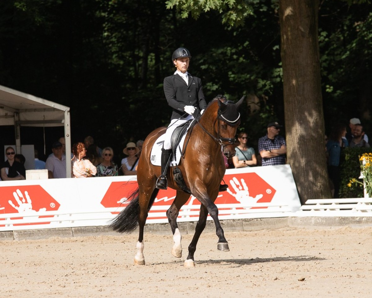 dressage horse Django Unchained 21 (German Sport Horse, 2019, from Dante’s Jr.)