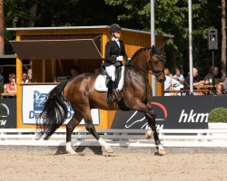 dressage horse Enzoani (Hanoverian, 2019, from Escamillo)