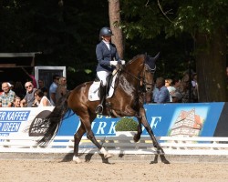 dressage horse Emiliana HR (Hanoverian, 2019, from Escolar)