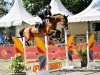 jumper Contilouthago PS (Oldenburg show jumper, 2017, from Continental Blue)