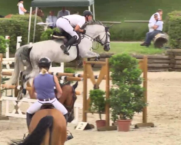 Landeschampionat Baden-Württemberg 2013