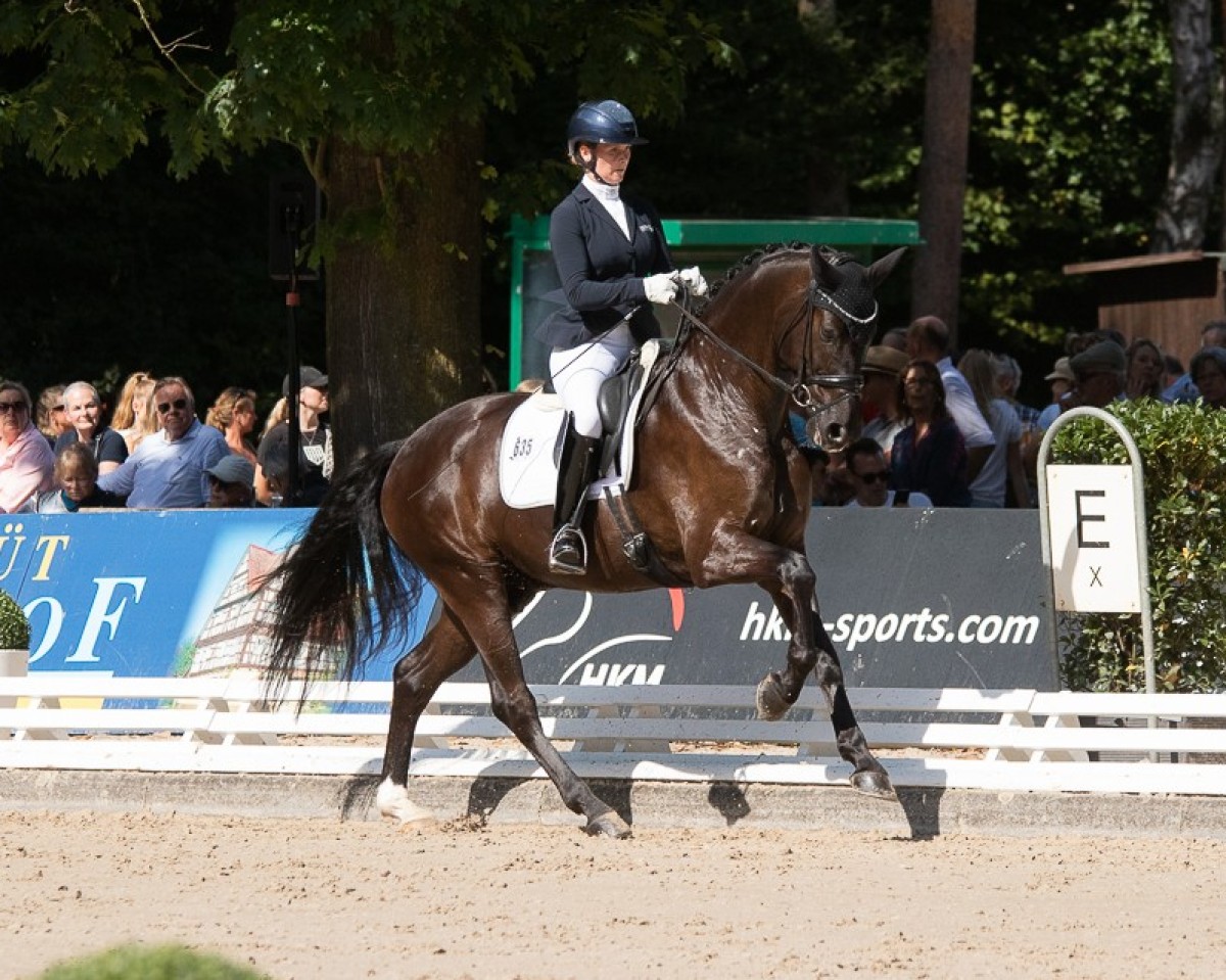 dressage horse Silent Wings (Hanoverian, 2019, from Secret)