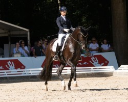 dressage horse Singleton 3 (Hanoverian, 2019, from Secret)