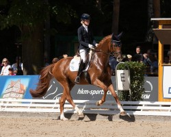 dressage horse Segafredo 4 (Oldenburg, 2019, from Secret)