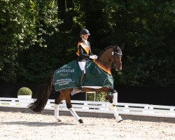 dressage horse Felice 83 (Hanoverian, 2019, from Fürst Samarant)