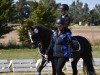 dressage horse Wiesenhof's Göthe (Welsh-Pony (Section B), 2002, from Moorkieker Goliath)