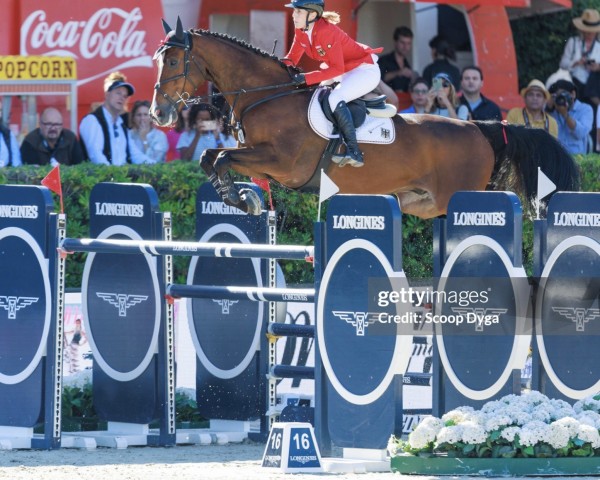 Springpferd Messi van 't Ruytershof (Belgisches Warmblut, 2012, von Plot Blue)