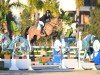 jumper Magnolia Ws (KWPN (Royal Dutch Sporthorse), 2017, from Inaico)