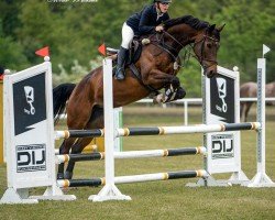 jumper Frida My Valentime (Hungarian Warmblood, 2016, from Toran)