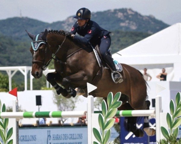 jumper E.adore Joh (KWPN (Royal Dutch Sporthorse), 2009, from Ace)