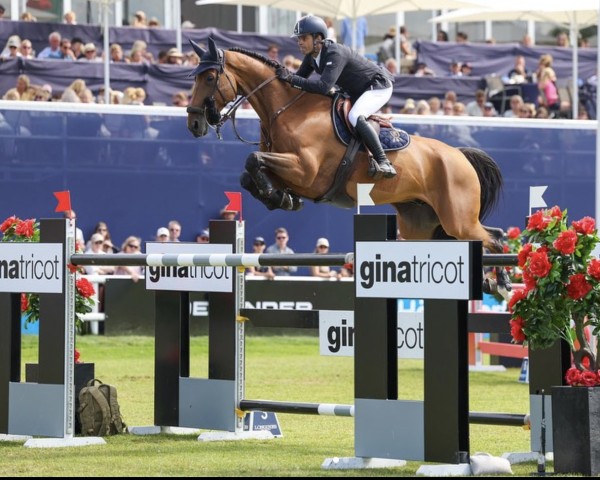 Springpferd Odense Odeveld (Belgisches Warmblut, 2014, von Diamant de Semilly)