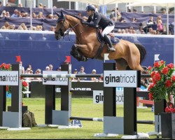 jumper Odense Odeveld (Belgian Warmblood, 2014, from Diamant de Semilly)