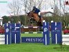 jumper Chacareno PS (Oldenburg show jumper, 2015, from Chacco-Blue)