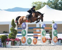 jumper Chaccrouet (Oldenburg show jumper, 2010, from Chacco-Blue)