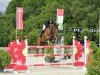 jumper Cornnan (Oldenburg show jumper, 2012, from Cornet’s Balou)