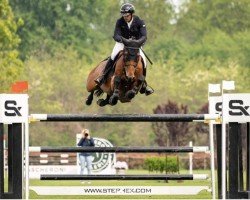 stallion Balstakko (Oldenburg show jumper, 2015, from Baloubet du Rouet)