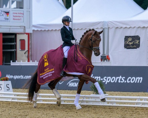 dressage horse Mon Chateau OLD (Oldenburg, 2021, from Morricone)