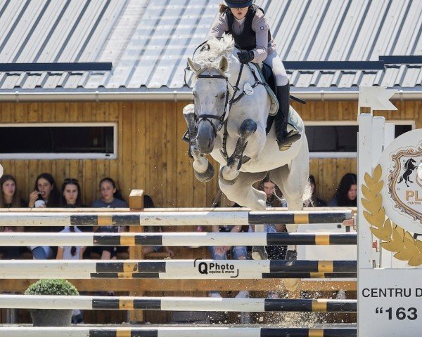 jumper Djerba (Hanoverian, 2015, from Diatendro)