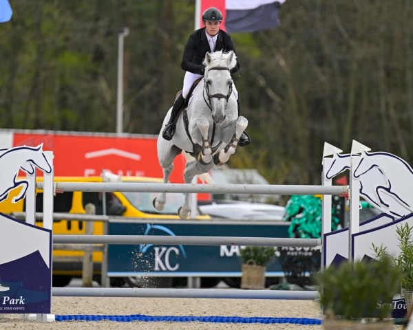 stallion Cassilano Jmen (Brazilian horse, 2006, from Calisco Jmen)