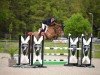 jumper Chactendra PS (Oldenburg show jumper, 2016, from Exelero 2)