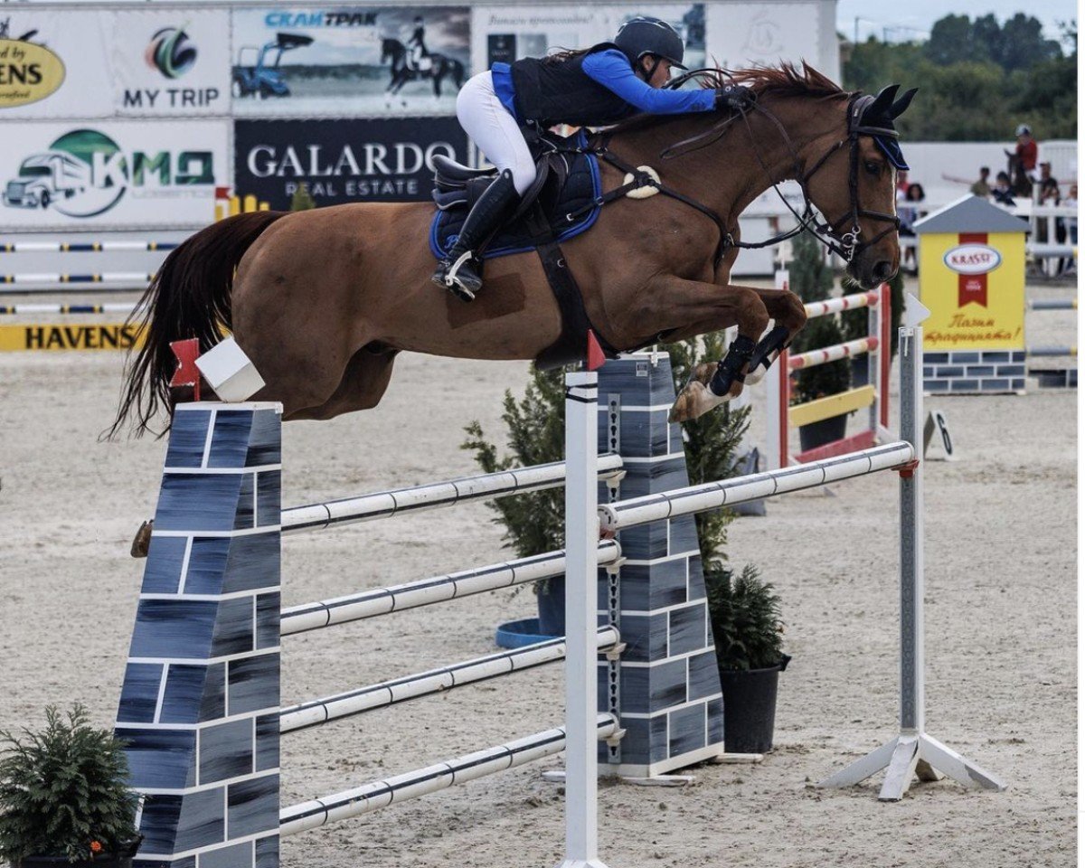 jumper Jannik PS (Oldenburg show jumper, 2016, from J'taime flamenco)