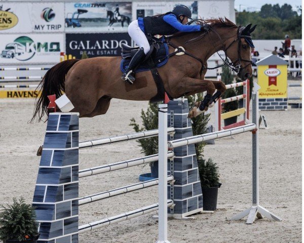 jumper Jannik PS (Oldenburg show jumper, 2016, from J'taime flamenco)