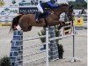 jumper Jannik PS (Oldenburg show jumper, 2016, from J'taime flamenco)