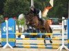 jumper Balougraf's Bella (Oldenburg show jumper, 2019, from Balougraf Esc)