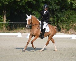 dressage horse ZGW Ramina (German Riding Pony, 2018, from Dornik-Double)