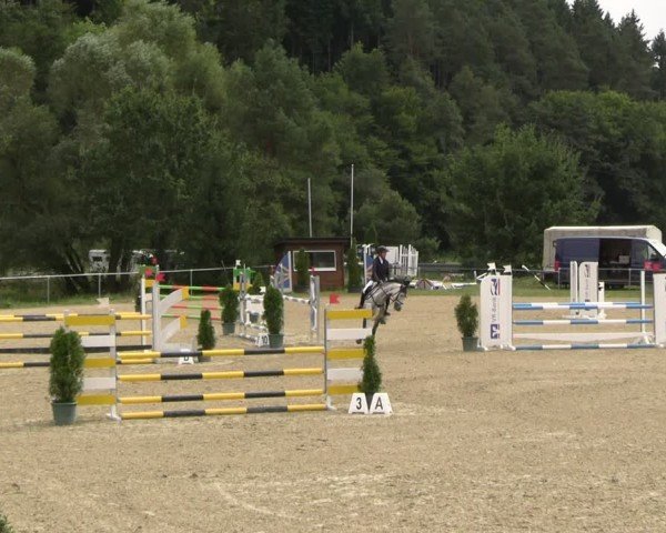 Reitturnier Bad Liebenstein/Sorga 2024