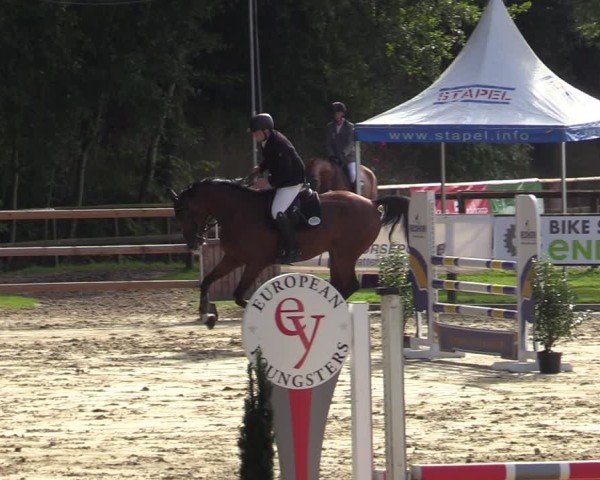 Reitturnier Albersloh 2024