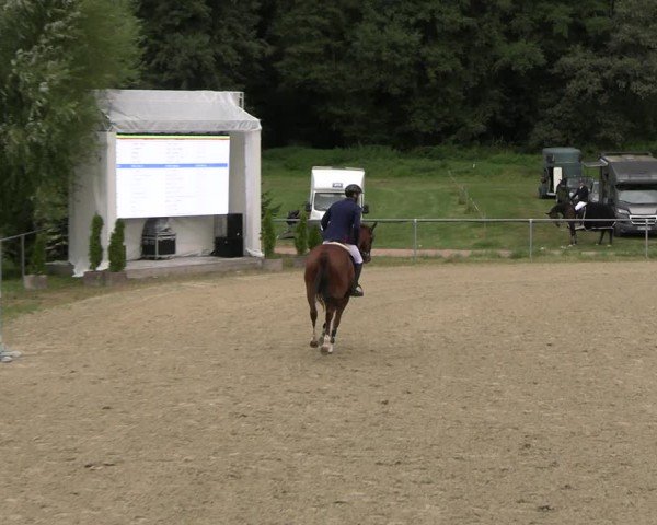Reitturnier Bad Liebenstein/Sorga 2024