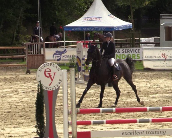 Reitturnier Albersloh 2024