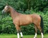 dressage horse Monamour (German Riding Pony, 2012, from Heitrak's Marvin)