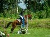 jumper Hugerlandshofs Miss Sophie (German Riding Pony, 2010, from Mr.Hale Bob)