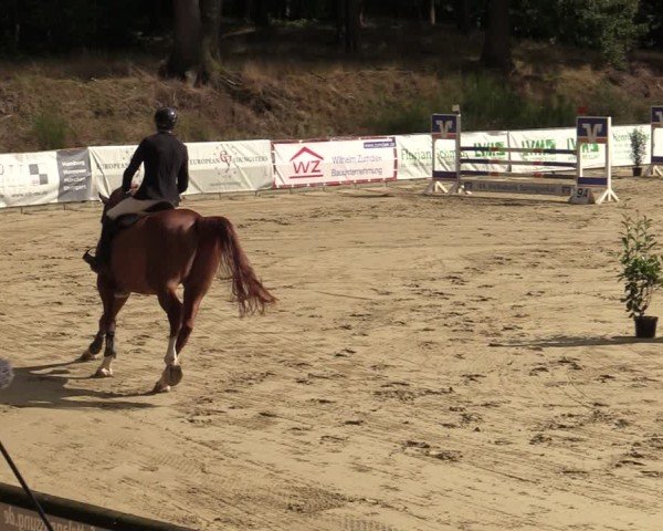 Reitturnier Albersloh 2024