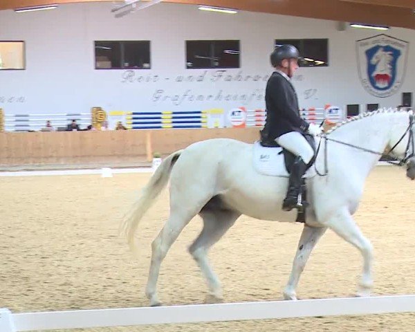 Reitturnier Grafenrheinfeld/Ufr. 2024