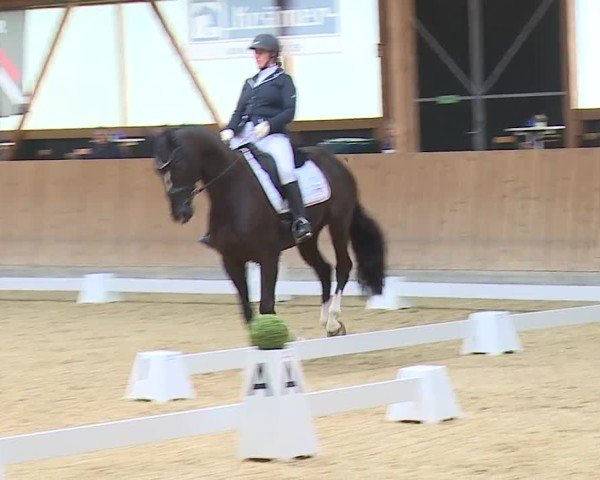 Reitturnier Grafenrheinfeld/Ufr. 2024
