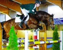 jumper Da Lisco (Belgian Warmblood, 1999, from Darco)