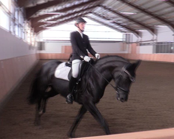 Reitturnier Albersloh 2024