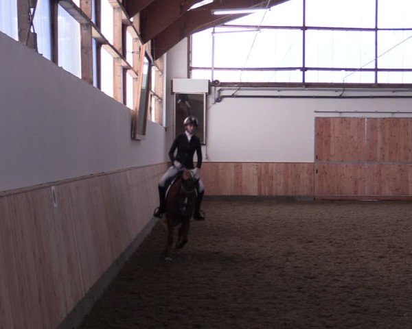 Reitturnier Albersloh 2024