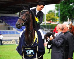 jumper Zander (KWPN (Royal Dutch Sporthorse), 2004, from Kojak)