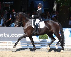 dressage horse Unforgettable Feeling (Oldenburg, 2018, from Secret)