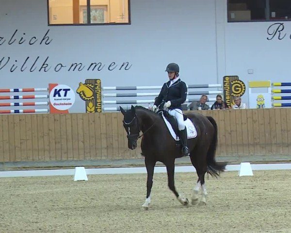 Reitturnier Grafenrheinfeld/Ufr. 2024