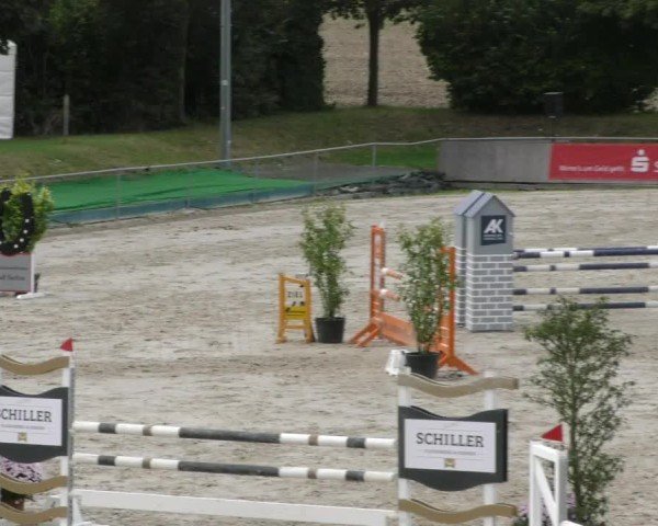 Reitturnier Harsum-Hüddessum 2024
