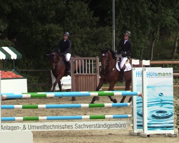 Reitturnier Albersloh 2024
