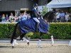 dressage horse Mille Fiori L (Hanoverian, 2016, from E.H. Millennium)